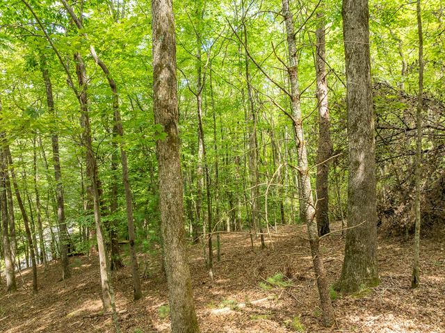 Lot 272 Seneca Drive, Ellijay, GA 30540