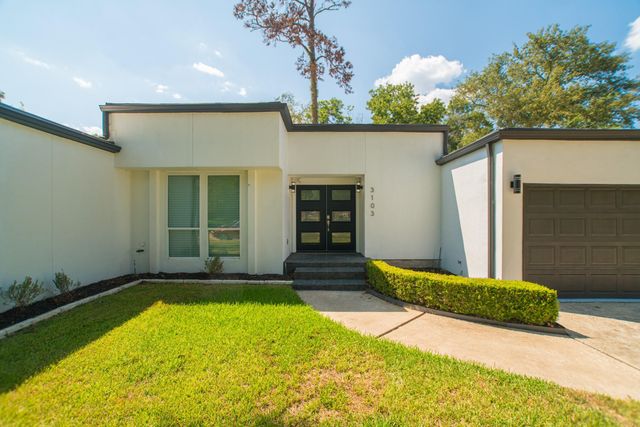 3103 Hemingway Drive, Montgomery, TX 77356