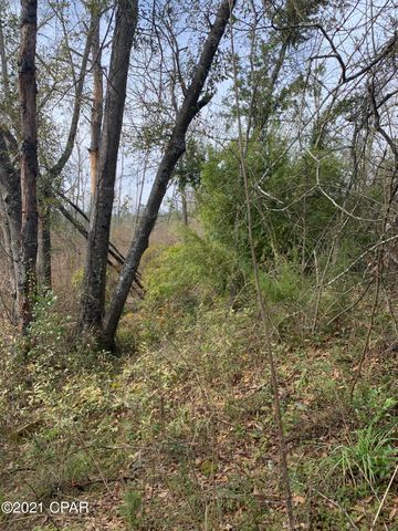 0000 Hwy 90, Grand Ridge, FL 32442