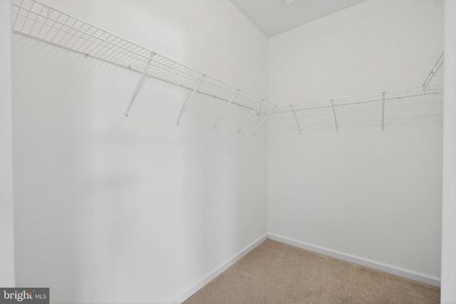 1664 W MATISSE DR, Middletown, DE 19709