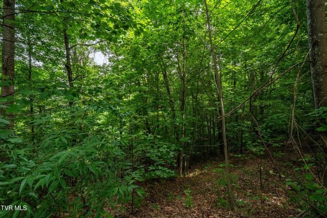 131 Shalom Drive, Elizabethton, TN 37643