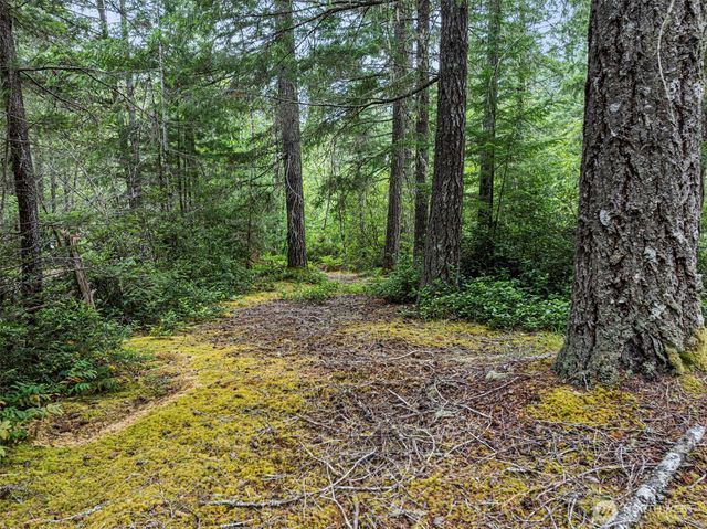 80 NE Smithy Forge Lane, Belfair, WA 98528