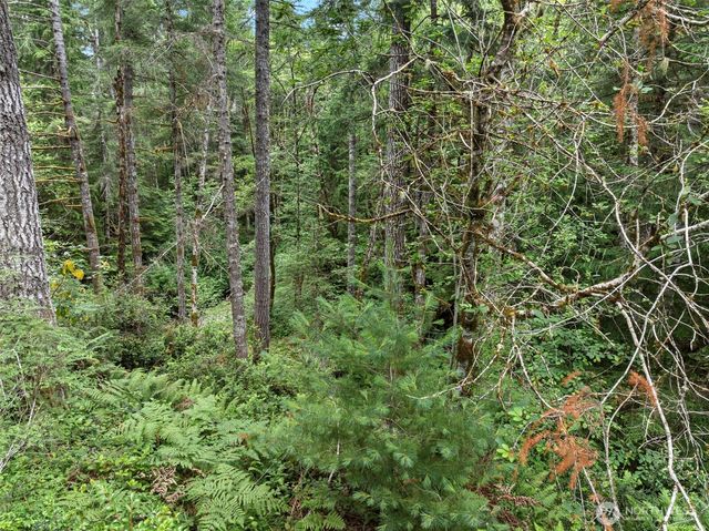 80 NE Smithy Forge Lane, Belfair, WA 98528
