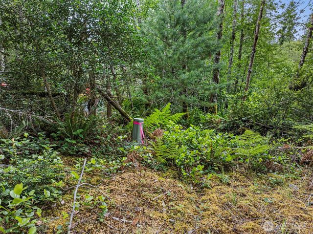 80 NE Smithy Forge Lane, Belfair, WA 98528