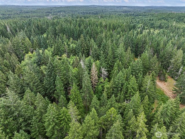 80 NE Smithy Forge Lane, Belfair, WA 98528