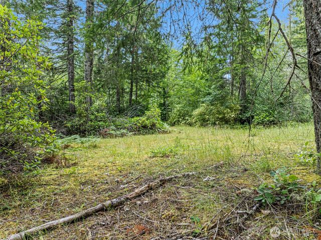 80 NE Smithy Forge Lane, Belfair, WA 98528