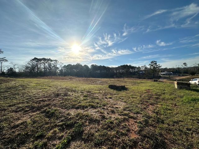 0 Pendragon Place, Dothan, AL 36305