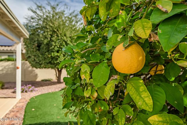 18145 W BUENA VISTA Drive, Surprise, AZ 85374