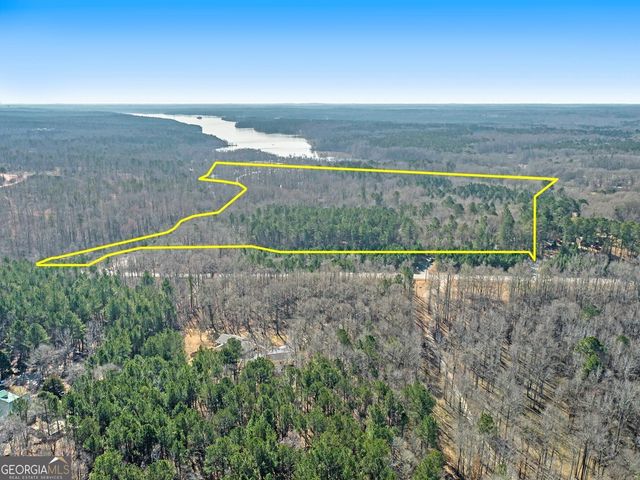 0 Hampton Locust Grove Road, Hampton, GA 30228