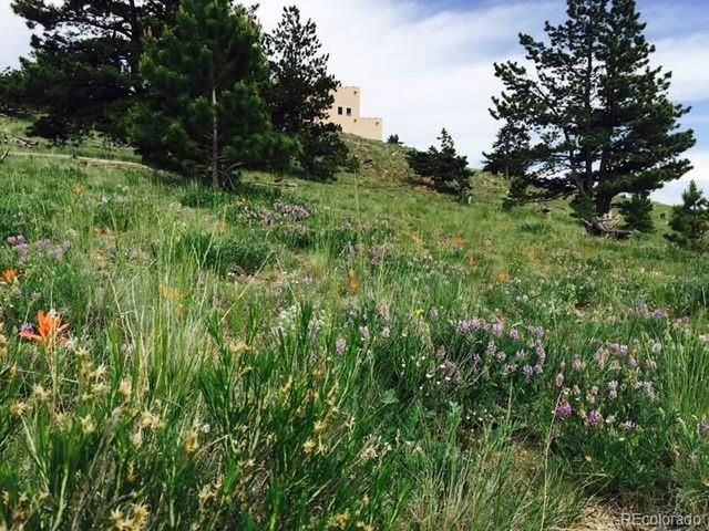 5675 Ranch Rd, Hartsel, CO 80449