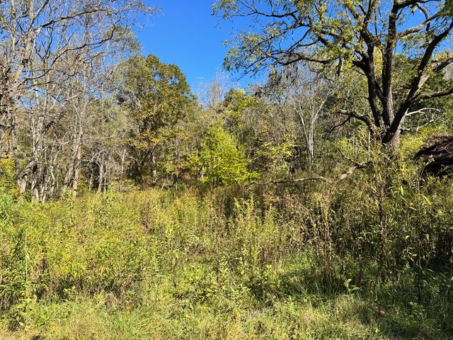 2836 Buffalo RD, Buchanan, VA 24066