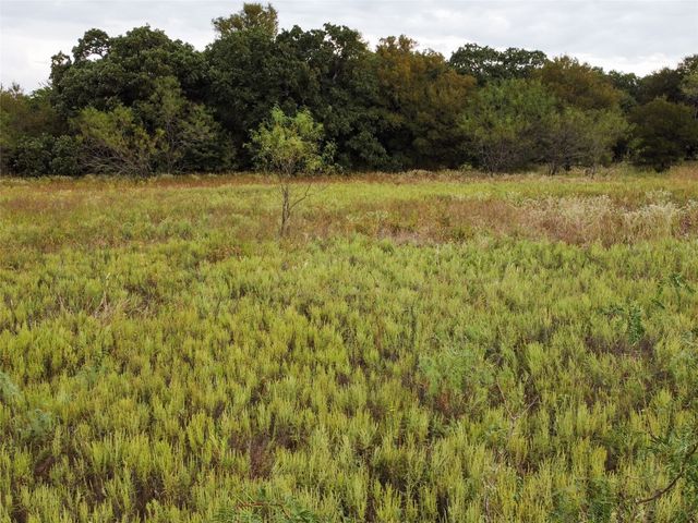 TBD County Road 3368, Hubbard, TX 76648