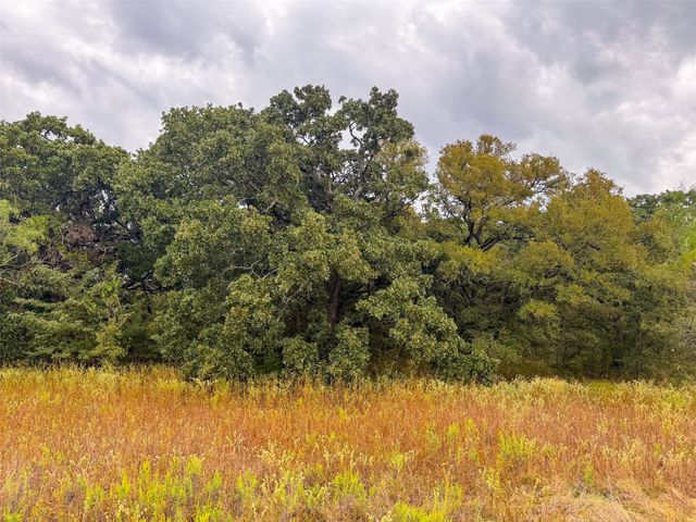 TBD County Road 3368, Hubbard, TX 76648