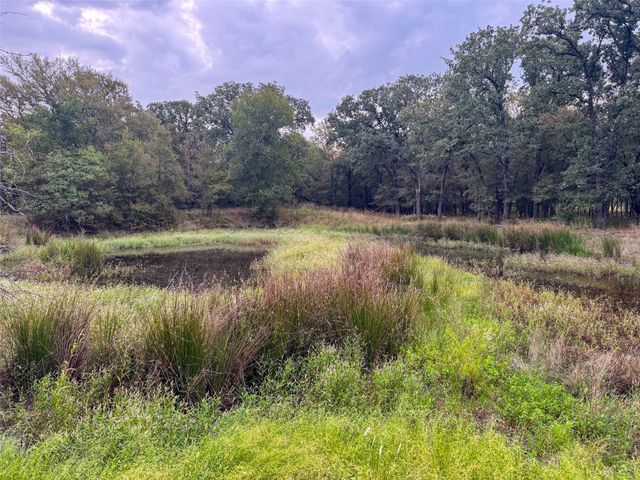 TBD County Road 3368, Hubbard, TX 76648