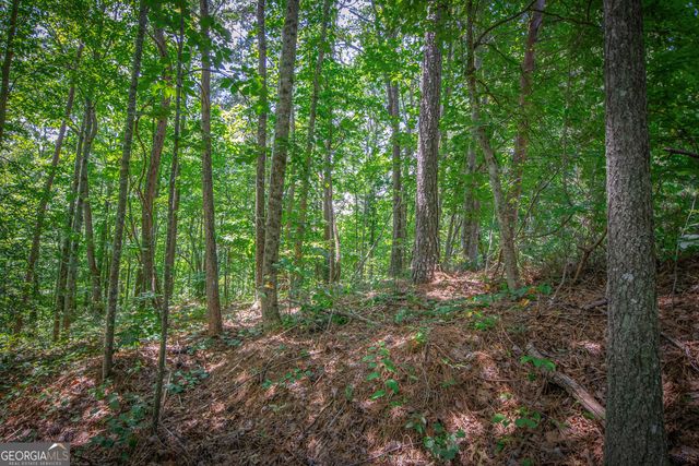 LOT 104 Mountain Creek Hollow Drive, Talking Rock, GA 30175