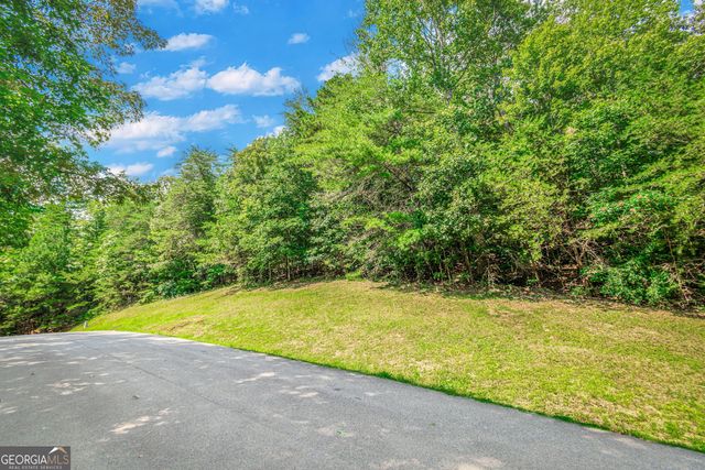 LOT 104 Mountain Creek Hollow Drive, Talking Rock, GA 30175