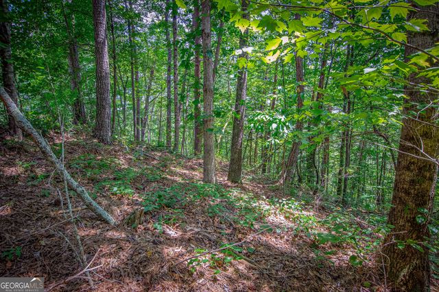 LOT 104 Mountain Creek Hollow Drive, Talking Rock, GA 30175