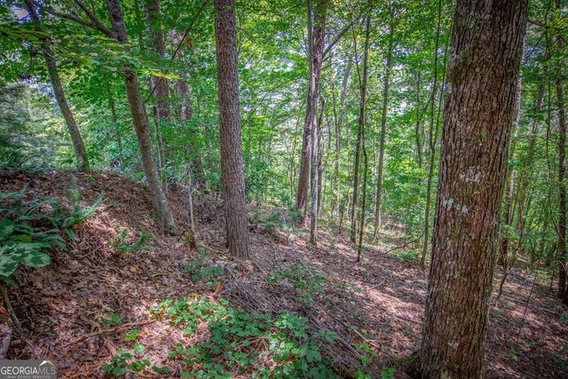 LOT 104 Mountain Creek Hollow Drive, Talking Rock, GA 30175
