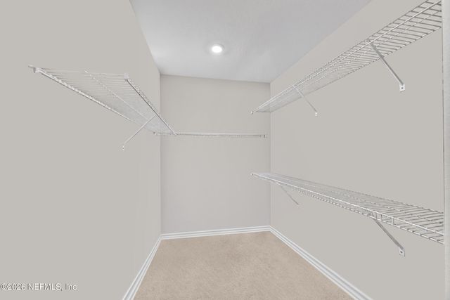 9717 LOVAGE Lane, Jacksonville, FL 32219