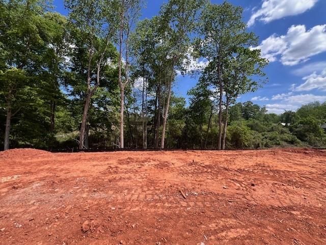 250 Wilbanks Street, Buford, GA 30518