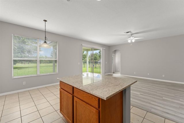 33411 TERRAGONA DRIVE, Sorrento, FL 32776