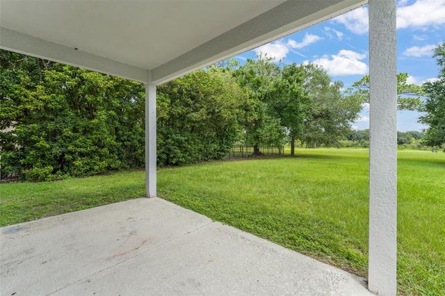 33411 TERRAGONA DRIVE, Sorrento, FL 32776