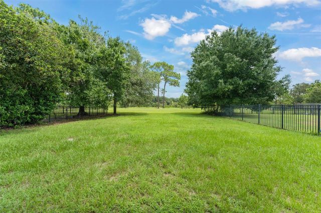 33411 TERRAGONA DRIVE, Sorrento, FL 32776