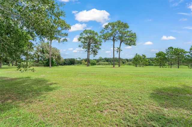 33411 TERRAGONA DRIVE, Sorrento, FL 32776