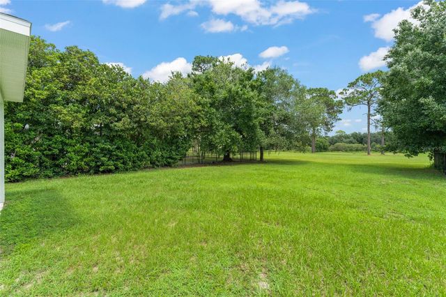 33411 TERRAGONA DRIVE, Sorrento, FL 32776