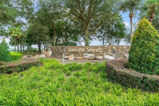 33411 TERRAGONA DRIVE, Sorrento, FL 32776