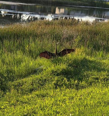 10820 43RD STREET N 902, Clearwater, FL 33762