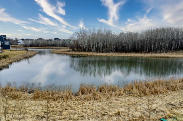 13301 Fondant Trail N, Hugo, MN 55038