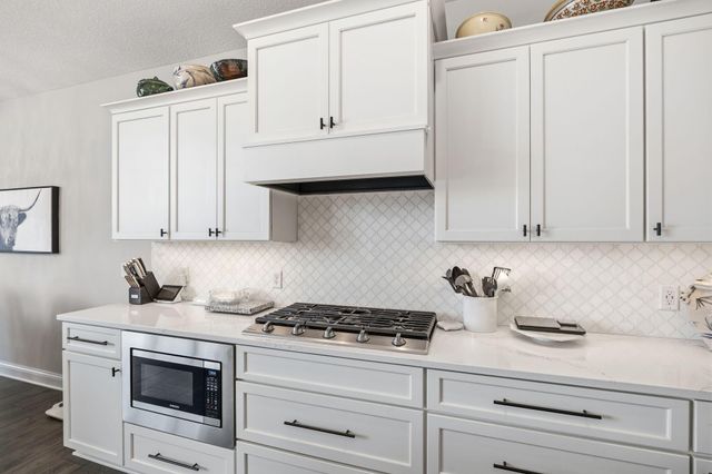 13301 Fondant Trail N, Hugo, MN 55038