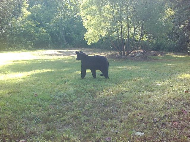 500 Big Sky Trail, Dahlonega, GA 30533
