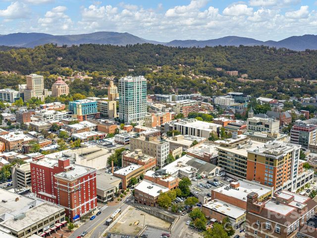 60 Haywood Street 3A, Asheville, NC 28801