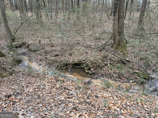 0 Tarpkins Road, Commerce, GA 30530