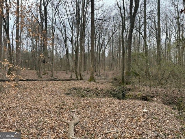 0 Tarpkins Road, Commerce, GA 30530