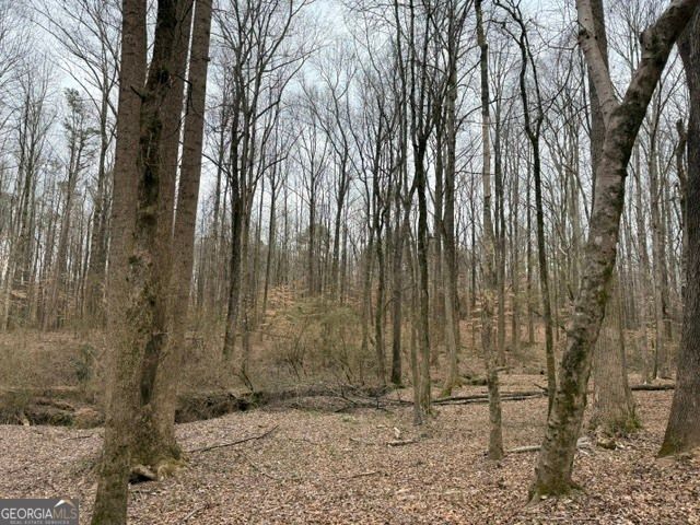 0 Tarpkins Road, Commerce, GA 30530