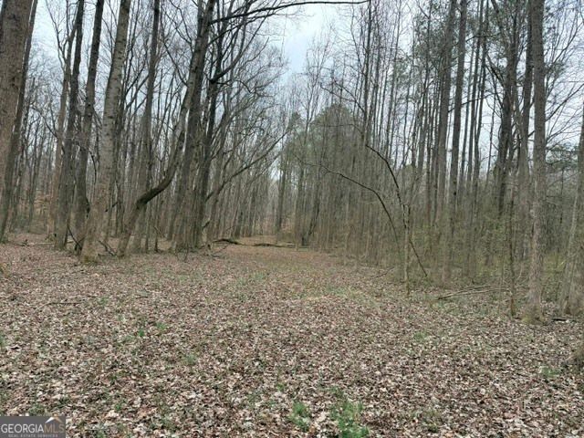 0 Tarpkins Road, Commerce, GA 30530