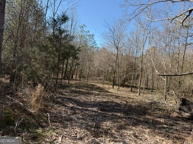 0 Tarpkins Road, Commerce, GA 30530