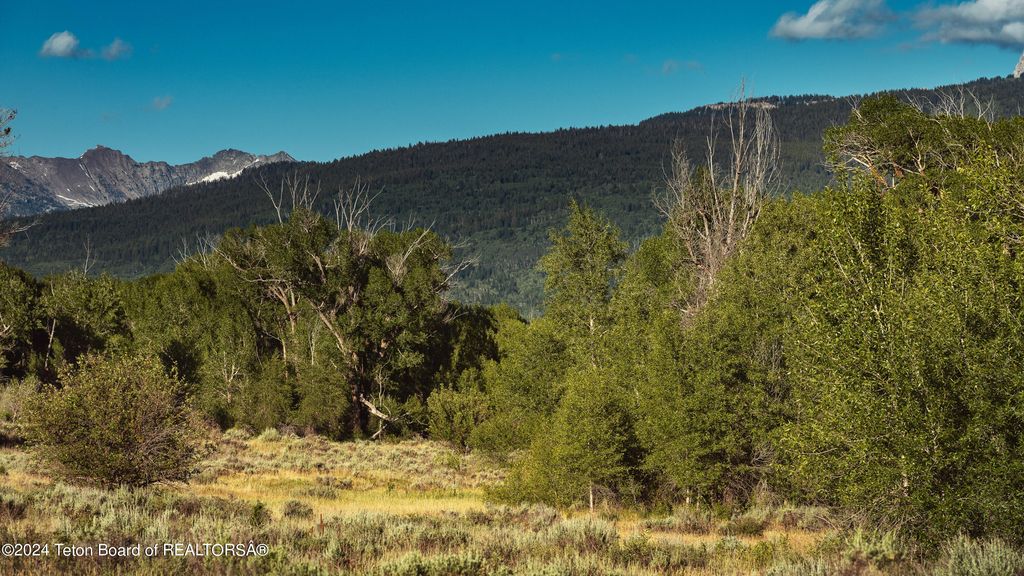 TBD SKI HILL Road, Driggs, ID 83422 photo 14