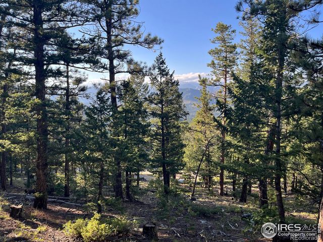 0 Moon Trailway, Estes Park, CO 80517