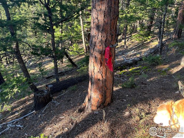 0 Moon Trailway, Estes Park, CO 80517