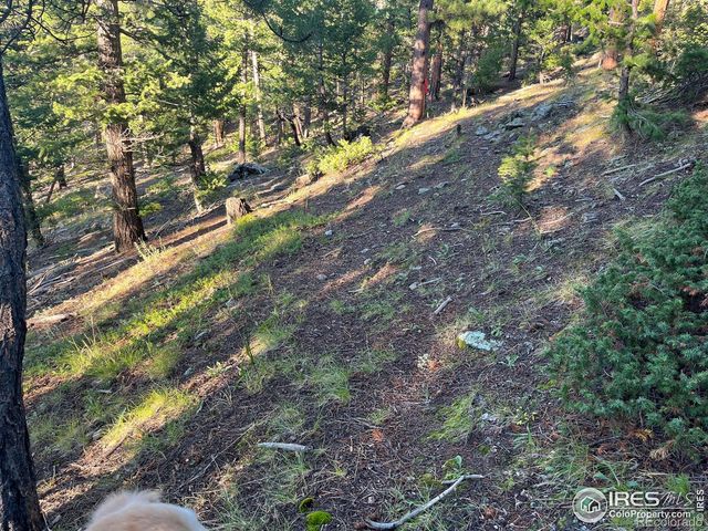 0 Moon Trailway, Estes Park, CO 80517