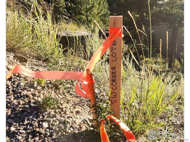 0 Moon Trailway, Estes Park, CO 80517