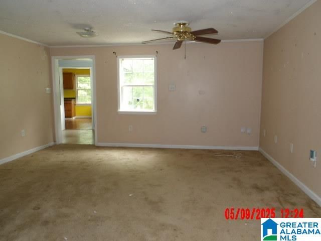 801 RUTLEDGE DRIVE, Midfield, AL 35228