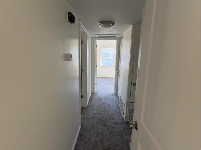 3106 Galimore Drive, Tallahassee, FL 32305