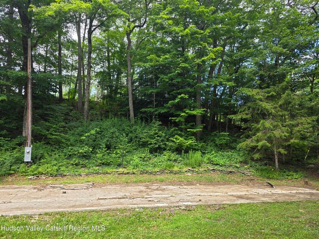 597 Ross Ruland Road, Cairo, NY 12413