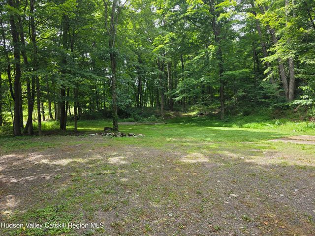 597 Ross Ruland Road, Cairo, NY 12413