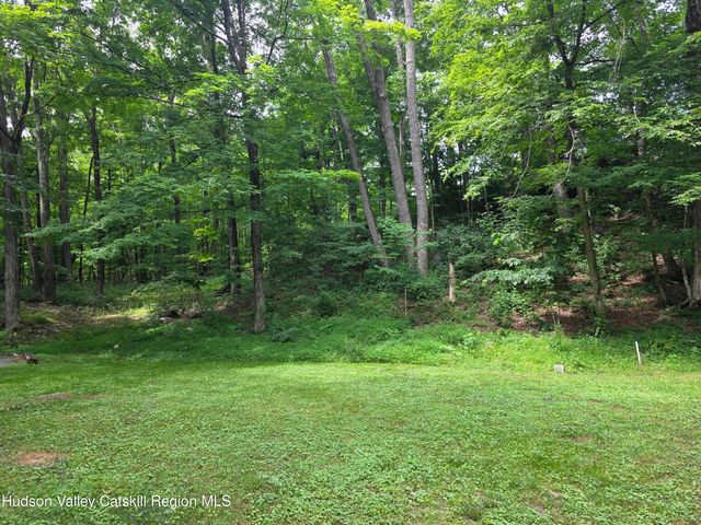 597 Ross Ruland Road, Cairo, NY 12413